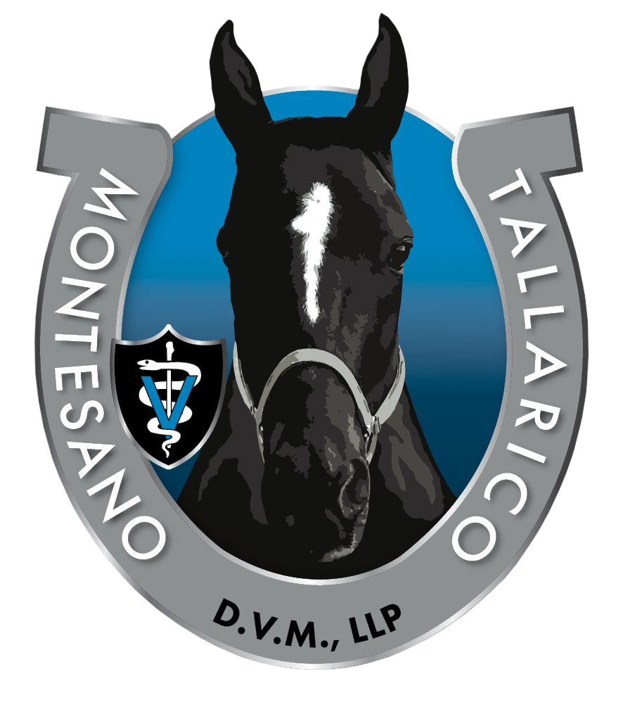 Montesano Tallarico Logo