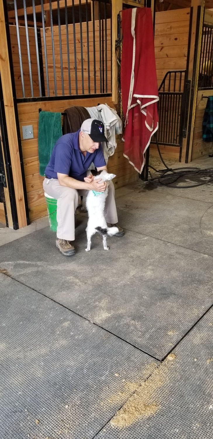 Nick Petting Maggie