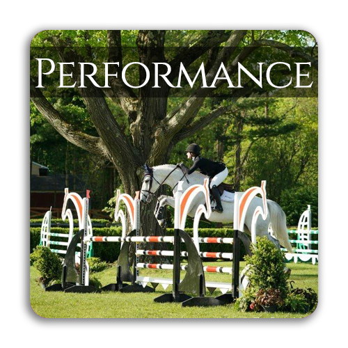 Performance Horse Button