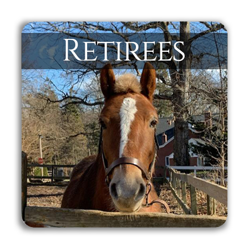 Retirees